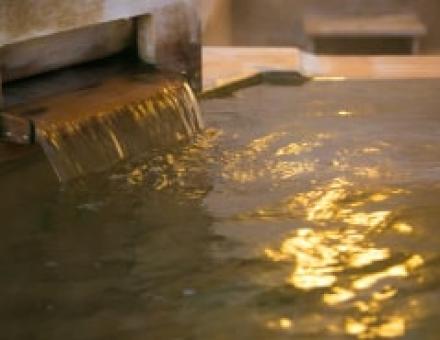 Nhà trọ chị em: Ryokan Tanigawa